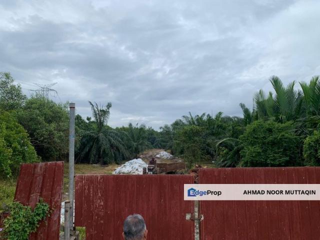 Pulau Carey