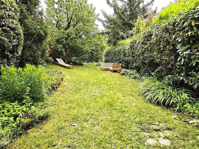 Pure Privatsphäre im Garten!