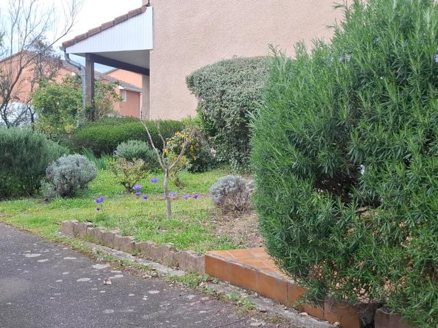 Purpan Maison T4 avec jardin privatif et garage Résidence de maisons