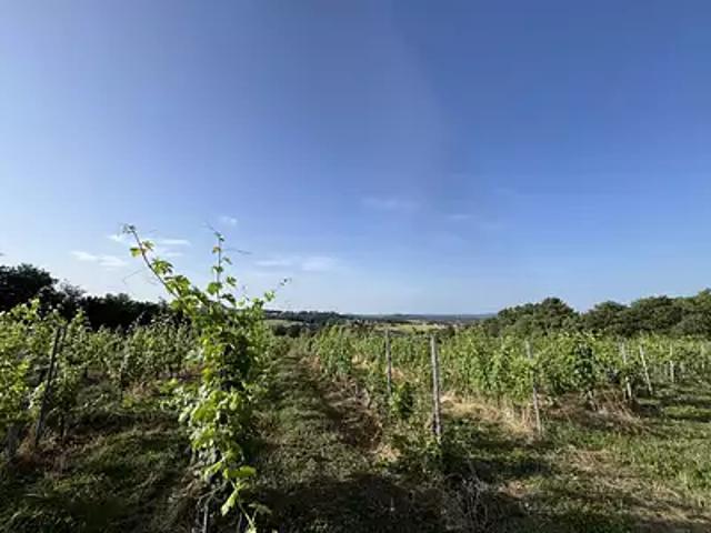 Puy d'Arnac 19120 Achat / Vente terrain