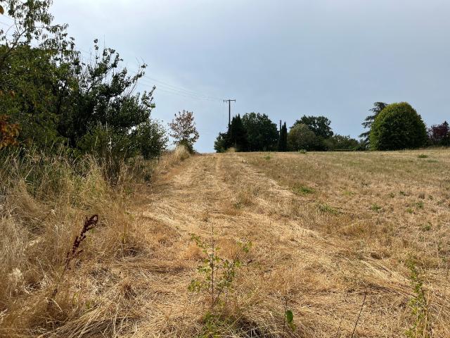 Puygouzon Vente Terrain 81