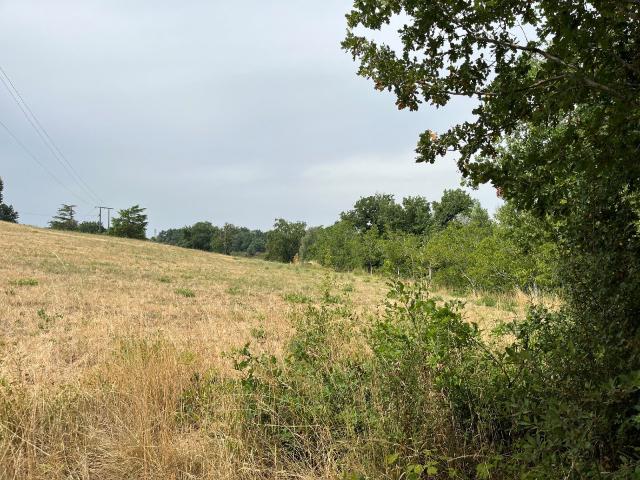 Puygouzon Vente Terrain 81