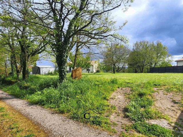 Puylaurens Vente Terrain 81