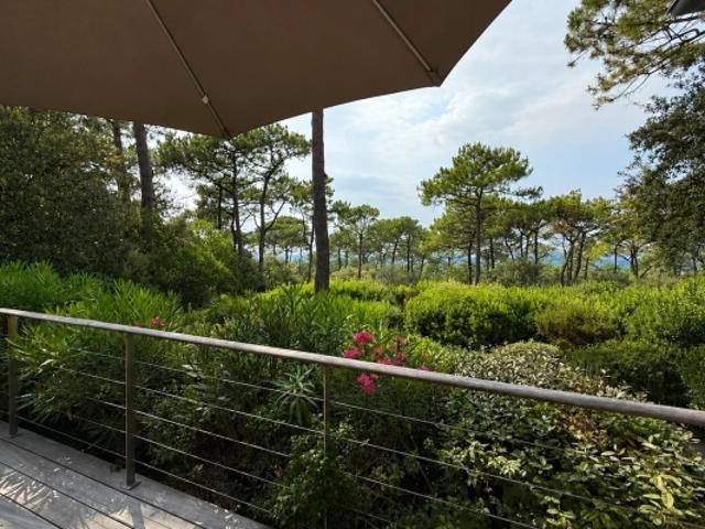 PYLA SUR MER – L'ERMITAGE – VUE DOMINANTE SUR LE BASSIN