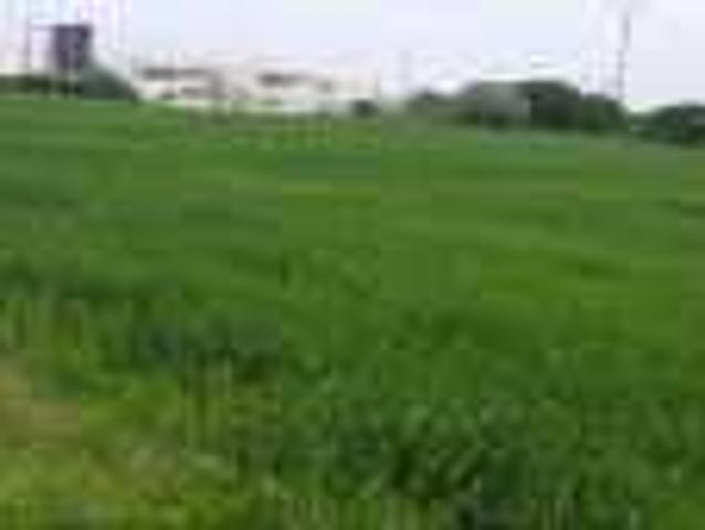 قطع ارضية متعددة للبيع