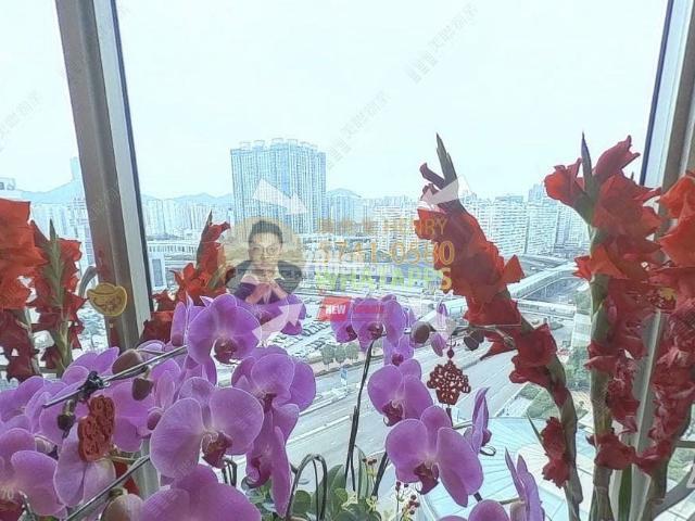 擎天半島 #3808 租盤樓盤詳細資料