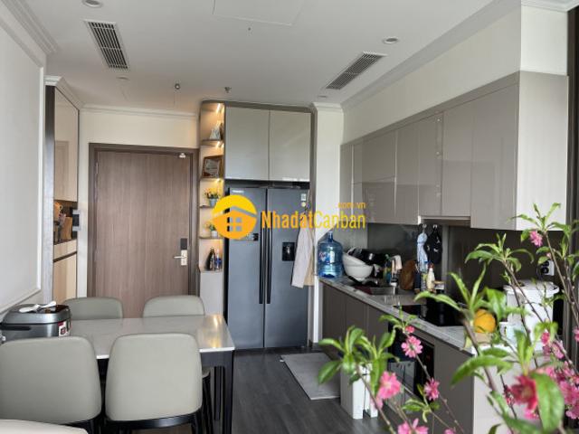 Quỹ căn chuyển nhượng studio, 1pn, 2pn, 3pn chính chủ gửi cắt lỗ siêu sâu tại vinhomes ocean park