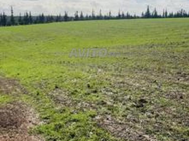 Quatre hectares, bonne affaire complète, 104 millions