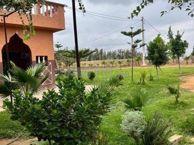 Quatre hectares titrés sur la route à 6km de Bahraoui