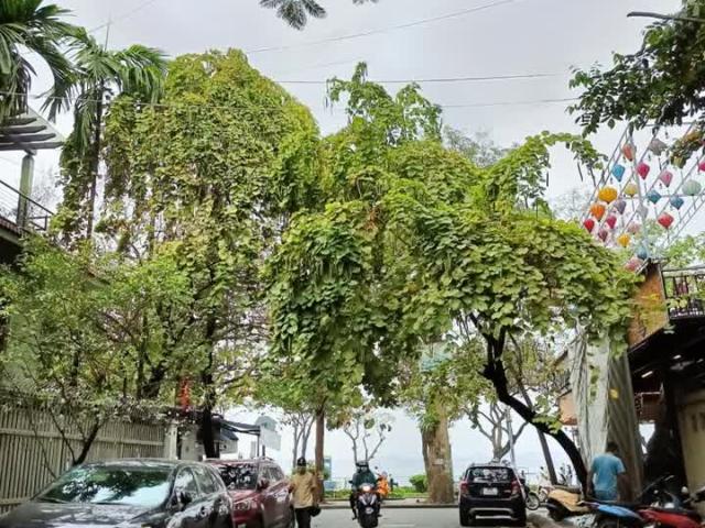 Quá hiếm! Bán nhà Thuỵ Khuê, nhà đẹp ở luôn, hộ khẩu Tây Hồ, ngõ thông, gần phố 45mx5T, hơn 7 tỷ