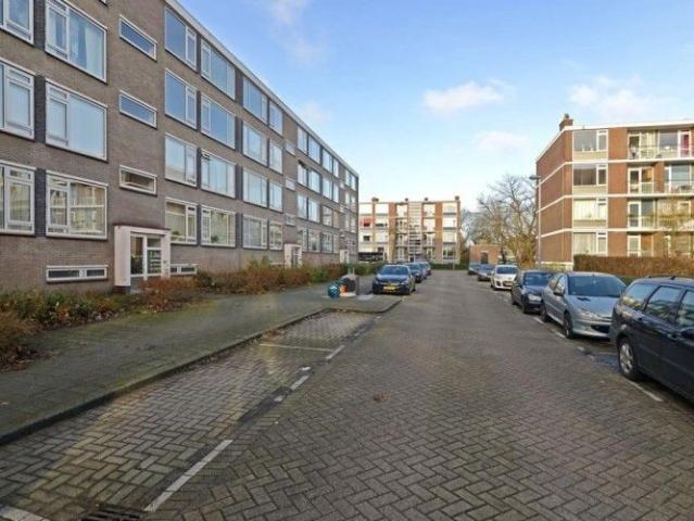 Quadenoord 0ong, 3079 Rotterdam, Nederland