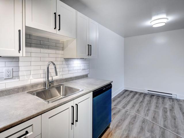 Quadra Village Apartments 2 Bedroom Renovated [object Promise] for Rent