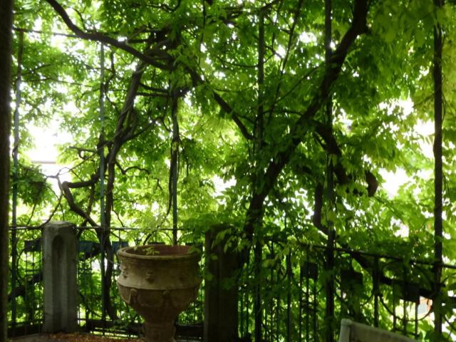 Quadrilocale Affitto Milano