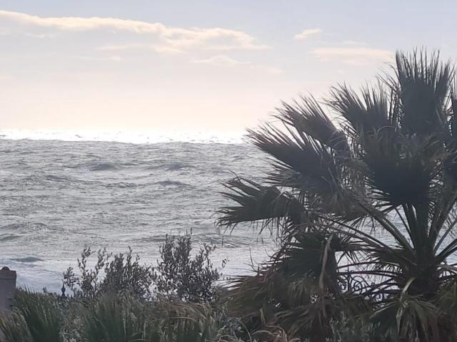 Quadrilocale arredato in affitto, Livorno antignano