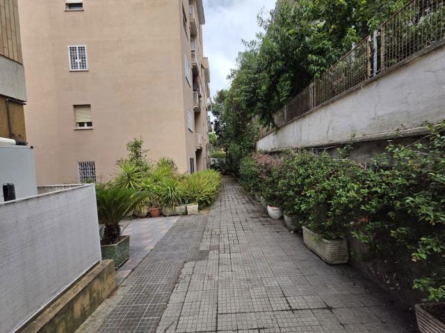 Quadrilocale da ristrutturare a Roma