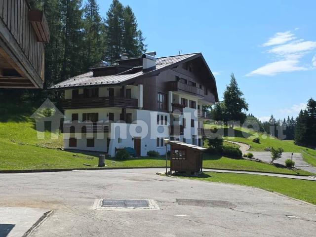 Quadrilocale frazione Grava di Sopra, Centro, Cortina d'Ampezzo