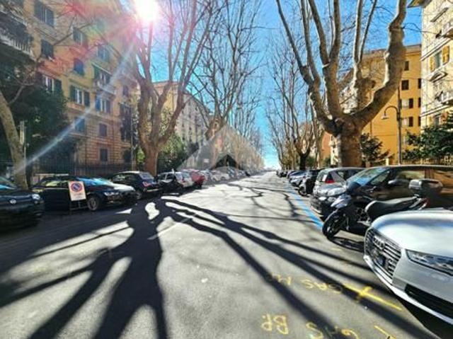 Quadrilocale in affitto