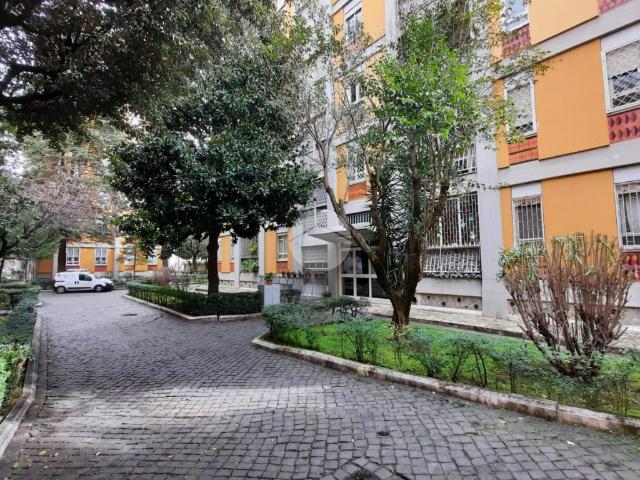 Quadrilocale in affitto