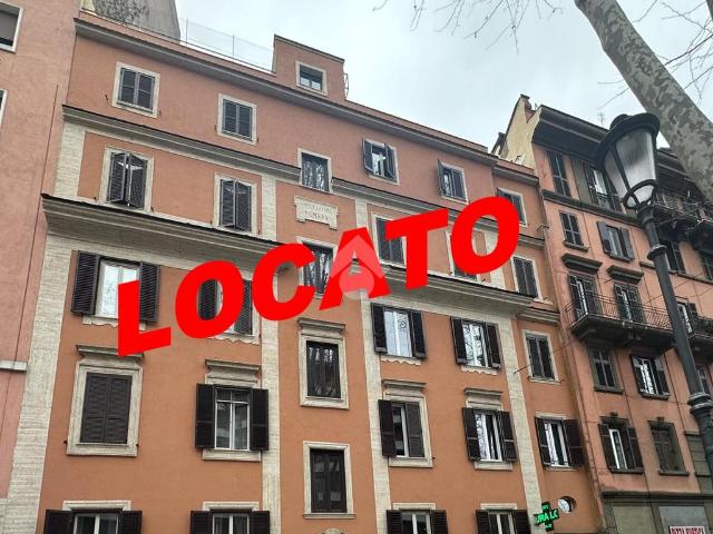 Quadrilocale in affitto