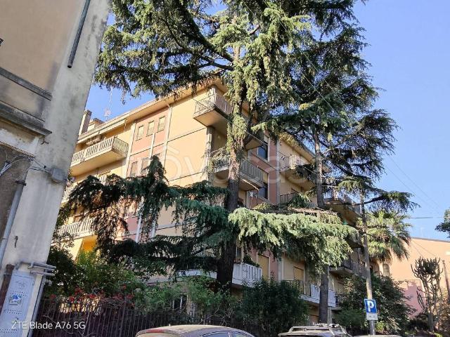 Quadrilocale in affitto a Catania via Morosoli, Villa Bellini Santa Maria di Gesù