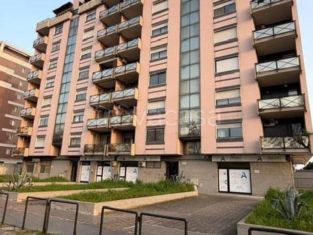 Quadrilocale in affitto a Foggia viale Luigi Pinto, 3, Piazza Aldo Moro Parco San Felice