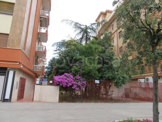 Quadrilocale in affitto a Foggia viale Michelangelo, 187, San Pio X