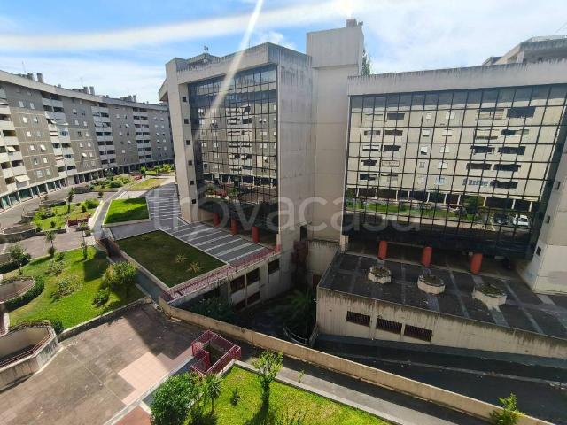 Quadrilocale in affitto a Roma viale Lina Cavalieri, 224, Serpentara