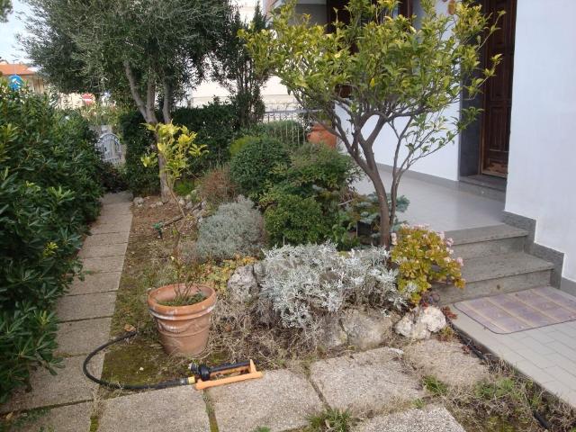 Quadrilocale in affitto a Rosignano Marittimo, case in affitto Rosignano Marittimo