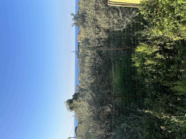 Quadrilocale in vendita a Messina, Spartà