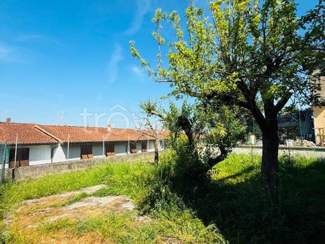 Quadrilocale in vendita a Montefoscoli, Palaia