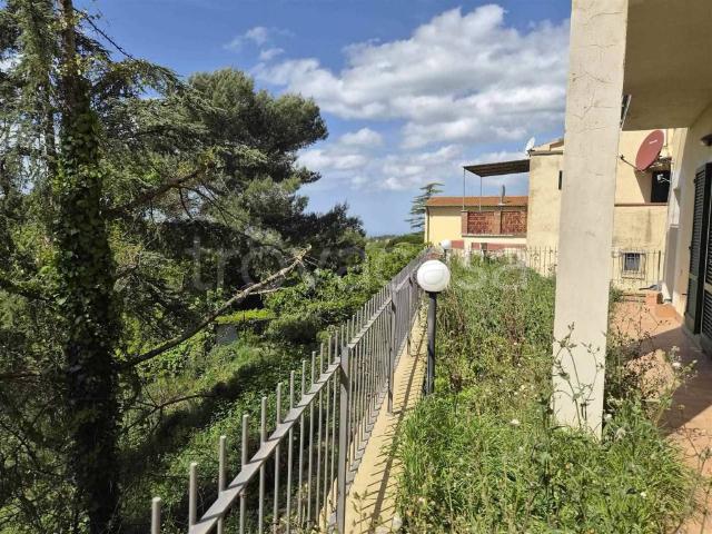 Quadrilocale in vendita a Montescudaio via Roma