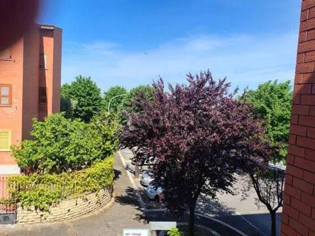Quadrilocale in vendita a Frascati piazza Della Ginestra