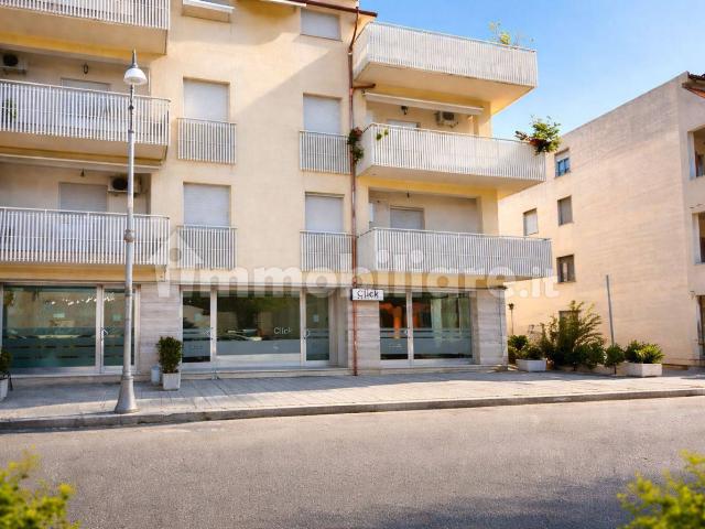 Quadrilocale via Giuseppe Garibaldi 95, Bianco