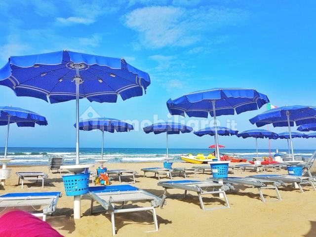 Quadrilocale viale Regina Amata 9, Lavinio Mare, Anzio