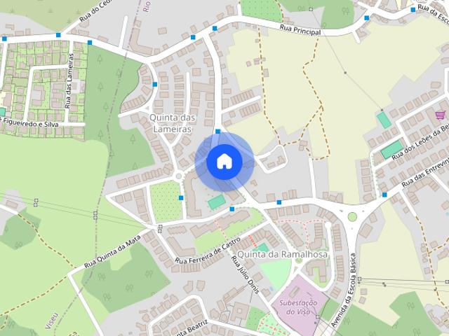 Quarto a menina estudante ou senhora em Viseu