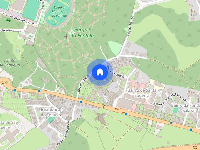 Quarto a rapaz estudante ou jovem profissional em Viseu