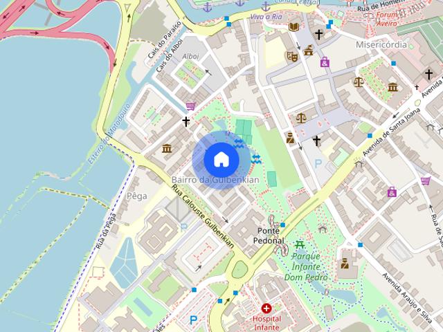 Quarto para menina estudante universitaria em Aveiro