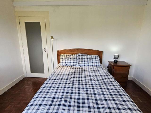 Quarto, Paranhos