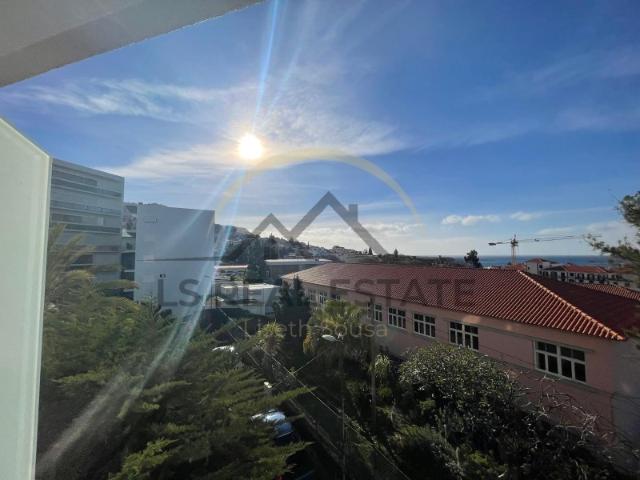 Quartos Premium para Arrendamento Centro do Funchal Zona Liceu