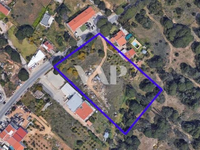 Quarteira Algarve 85310629