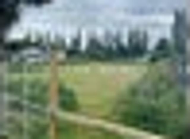Quarter Acre Section