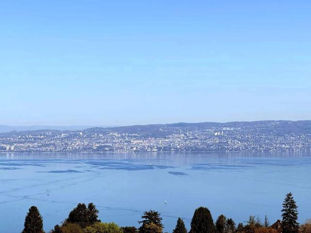 Évian Les Bains Maison Contemporaine Familiale Vue Lac. 193m² Evian les Bains