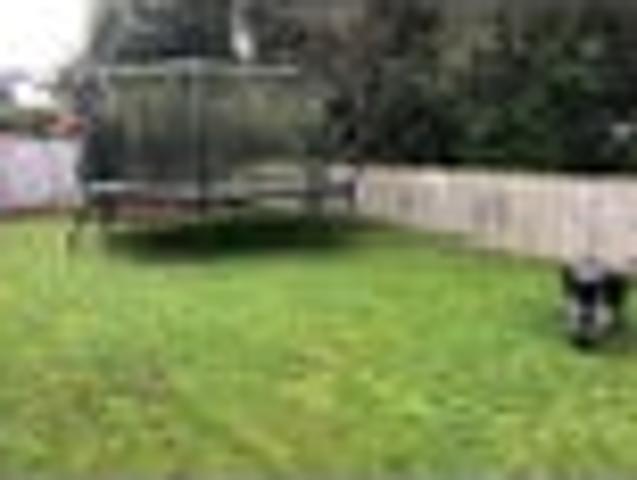 Queenwood, 3 bedrooms, $610 pw
