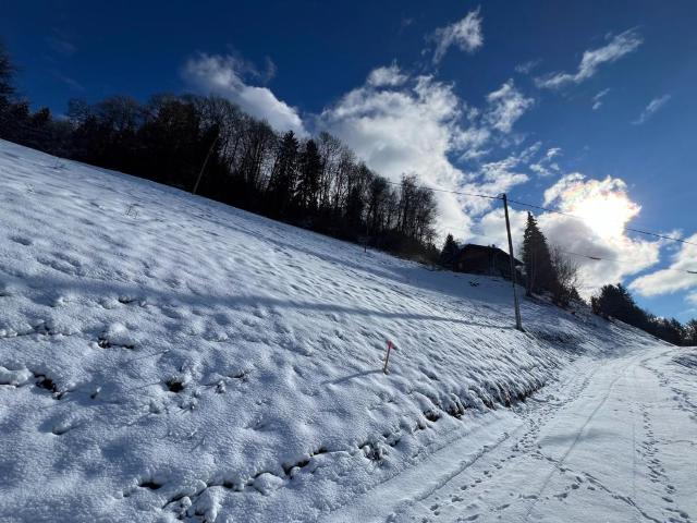 Queige Vente Terrain 73