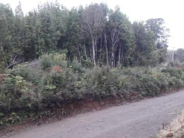 QUELLON/ISLA CAILIN, Quellon