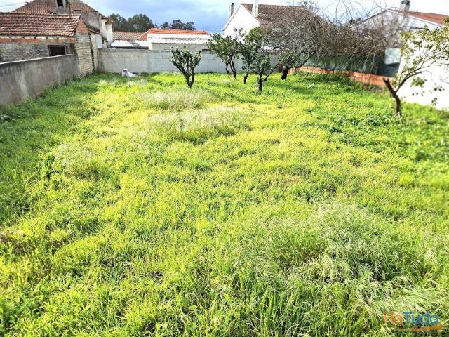 Quer construir uma moradia térrea e isolada em Vagos? Tem aqui o terreno ideal. | 26064083007