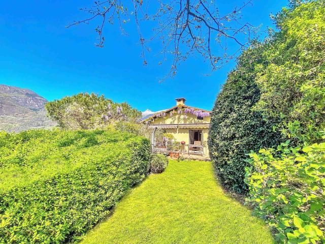 Questa grande casa unifamiliare è situata in una posizione s. 216m² Alberese