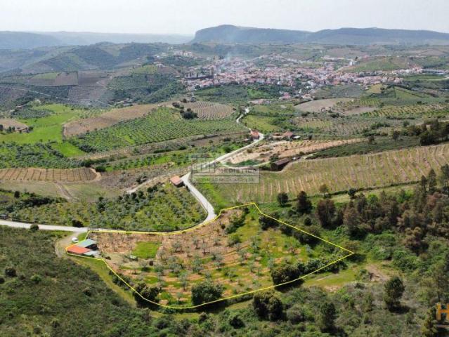 Quitinha no Douro Freixo de Espada Cinta | 26084088280