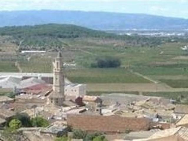 QUIERES DISFRUTAR DE LA NATURALEZA EN UN CONJUNTO DE PARCELAS RUSTICAS DE 2500M2