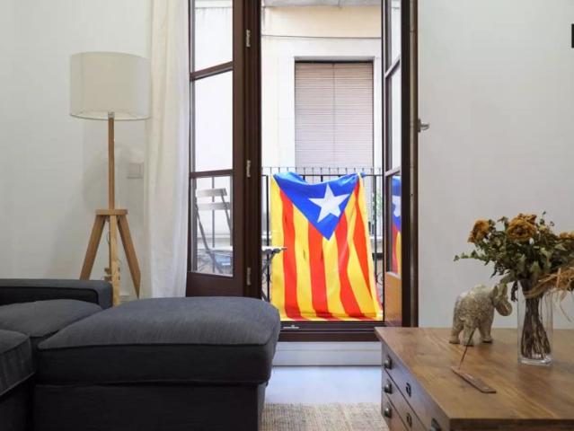 Quiet 2 bedroom apartment for rent near Cine Texas in Gràcia